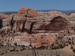 DSC08635
