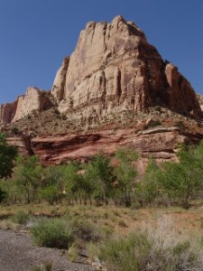 DSC08657