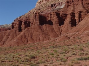 DSC08668