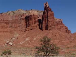 DSC08676