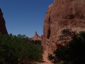 DSC08753