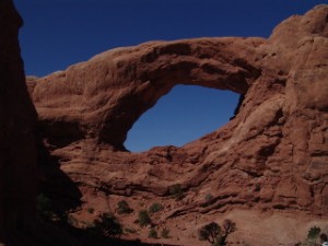 DSC08771