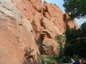 DSCF1569