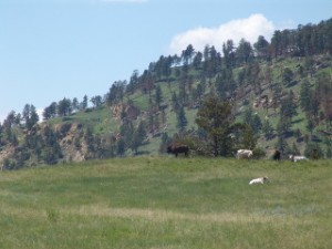 DSC08876