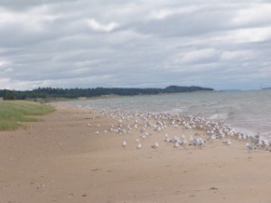 DSC09057