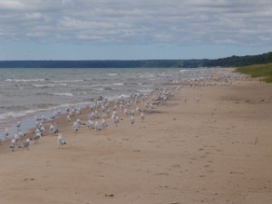 DSC09058