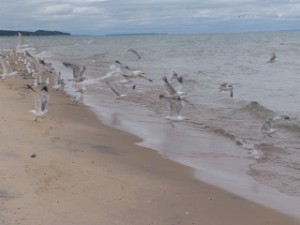 DSC09061