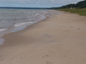 DSC09062