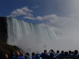 DSC09102
