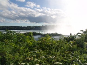DSC09142