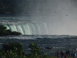 DSC09151