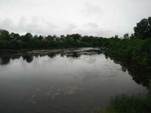 DSCF2039
