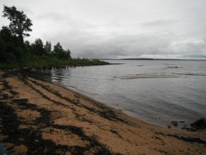 DSCF2042