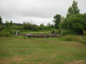 DSCF2046